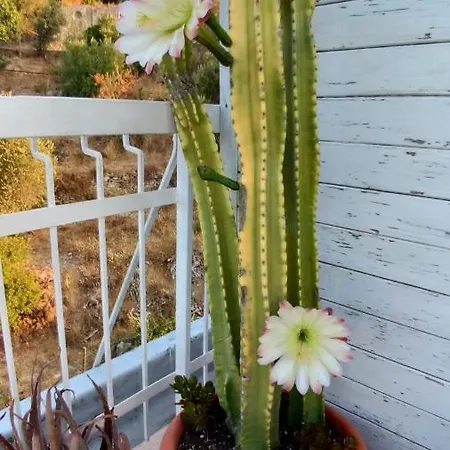 Ventoverde לינה וארוחת בוקר