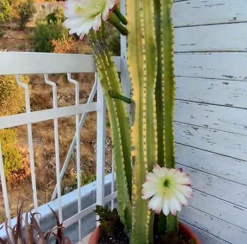 Ventoverde Bed and breakfast